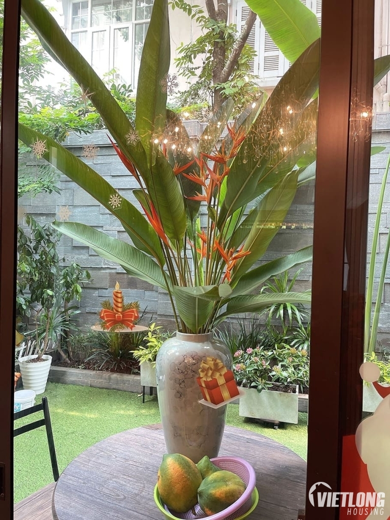Mua bán nhà đất, Căn hộ chung cư Hà Nội, BĐS Việt Long